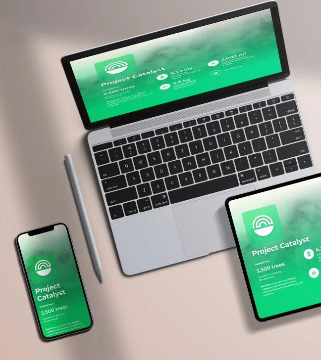 Project Catalyst summary screens on laptop, tablet and phone